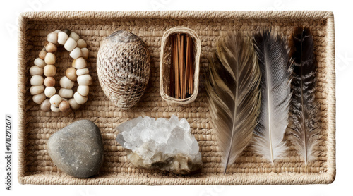 Natural Objects Collection with Shells, Stones, Feathers and Essential Materials