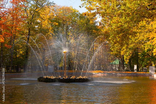 Autumn park with fountains . Sunny autumn park. Landscape. High quality photo