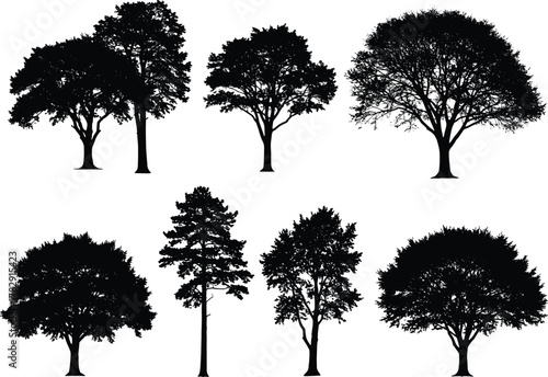 Silhouette collection of different tree shapes, natural forest vegetation design, black and white botanical elements, eco nature vector illustration for landscape decoration