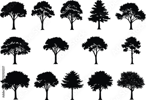 Black tree silhouette collection isolated on white background, natural forest tree shapes vector illustration, botanical nature design, eco environment concept, landscape decoration elements