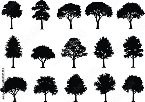 Collection of black tree silhouettes set, various deciduous and conifer shapes isolated on white background, natural forest vector illustration design elements