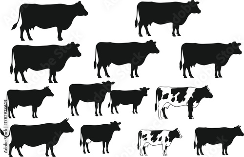 Cow and cattle silhouettes collection vector illustration, black and white farm animal design set, livestock shapes for agriculture, dairy, and rural artwork