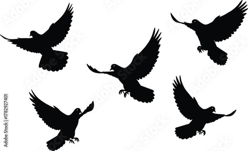 Flying dove silhouettes collection, black bird shapes in flight, peaceful freedom symbol vector, isolated pigeons illustration for design, nature art concept