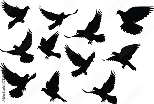 Flying dove silhouettes collection, black pigeons in various flight poses, freedom and peace concept vector illustration, isolated bird shapes for design art