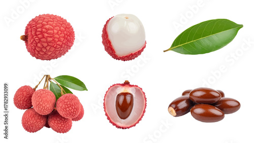 Vector illustration of collection of lychee fruits, whole, peeled, cut in half, seeds, and leaf on a white background