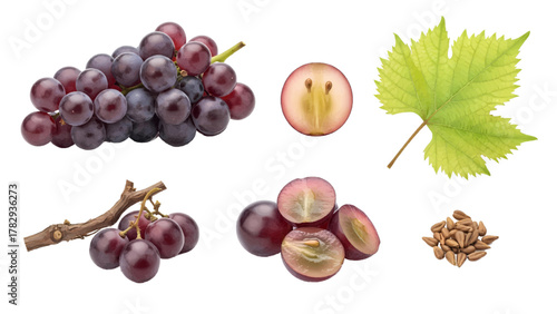 Vector illustration of a collection of ripe red grapes, cut in half, and a grape leaf on a white background