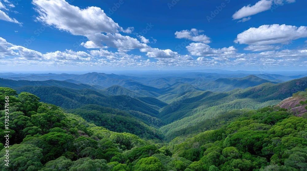 Fototapeta premium Vast Rolling Hills Covered in Lush Green Forests Under a Bright Blue Sky with Puffy White Clouds Bathed in Sunlight