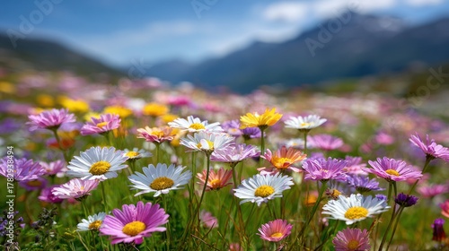 A vibrant field of colorful wildflowers in full bloom against a mountain backdrop