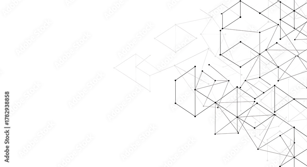 Fototapeta premium Black geometric network pattern with nodes on white background abstract connection