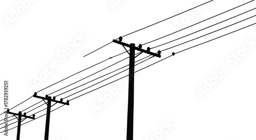 Utility pole silhouettes with birds, power line vector illustration, electricity infrastructure artwork, minimalist black silhouette design, industrial energy system, perched bird composition