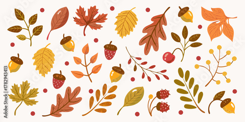 A charming collection of hand drawn autumn elements including leaves acorns berries and branches on a white background