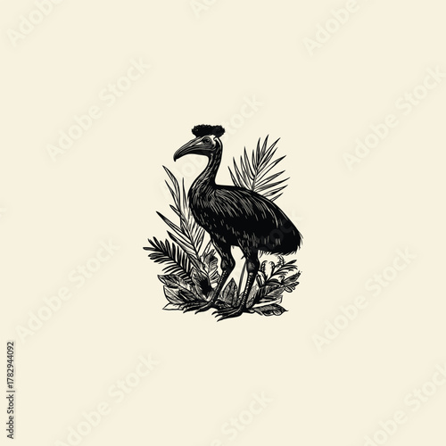 vintage engraving illustration of an exotic Cassowary bird with a pronounced crest, standing amongst tropical leaves