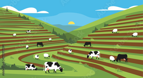 Cattle Grazing on Terraced Farmland, Pastoral Scene with Cows and Sheep.