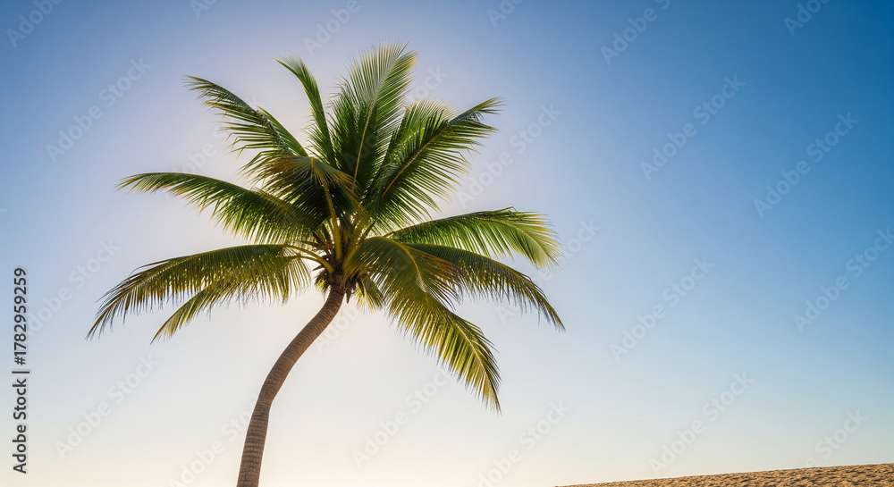 Obraz premium Vibrant Tropical Coconut Palm Tree Against Clear Blue Sky on a Sunny Day