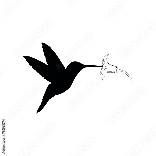Elegant hummingbird silhouette sipping nectar from delicate flower blossom, a symbol of grace and nature's beauty, perfect for branding or design projects