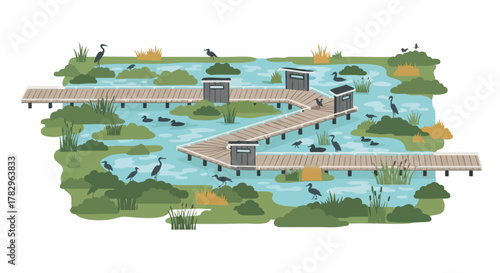 Wetland boardwalk with diverse birdlife and viewing platforms.