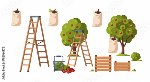 Fruit Harvesting Tools and Fresh Produce Collection in Orchard.