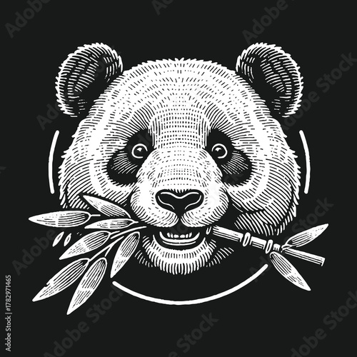 Panda Bear Eating Bamboo Branch Monochrome Illustration.