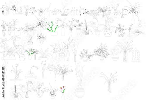 Large set of detailed line art sketches featuring various potted indoor plants, flowers, vases, and botanical decorations for home and garden design.