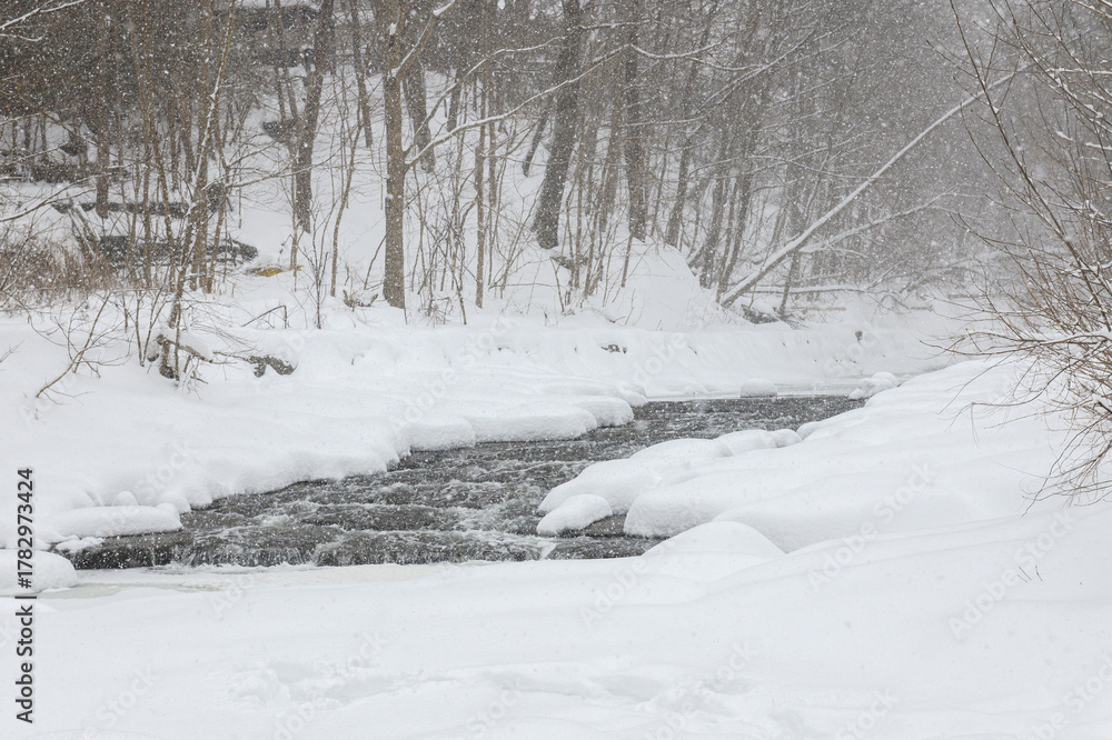 Obraz premium Winter Creek with Snow