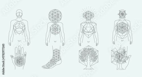 Vibrant close-up of a smiling golden retriever puppy resting on a sunlit grassy field