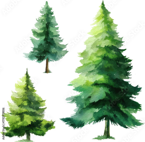 Adobe Illustrator Artwork