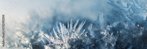 Close up of ice crystals on a branch
