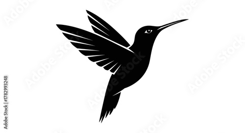 Hummingbird silhouette with transparent background