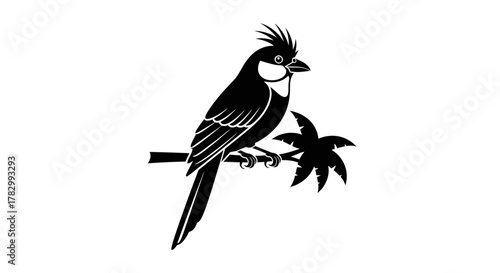 Northern mockingbird perched on branch with transparent background