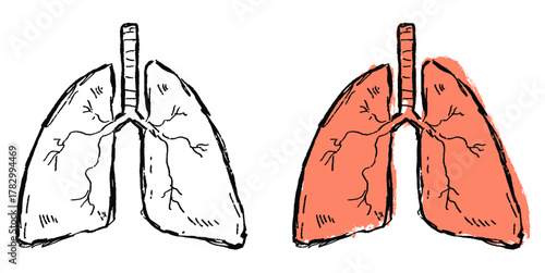 Grunge Sketch Handdrawn Human Lungs Vector Artistic grunge sketch vector of human lungs, hand-drawn style. Perfect for medical, educational, and awareness