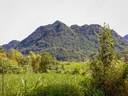 Thanh Hoa Province, Vietnam: wonderful landscape of Pu Luong's  Nature Reserve with mountains, tropical rainforest, valleys and cultivated rice fields.