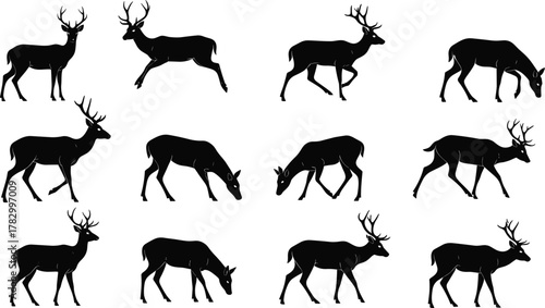 Deer silhouette vector, wildlife animal clipart, black forest icon, grazing and running pose, antlered buck graphic, nature design