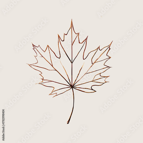 Autumn Maple Leaf Outline