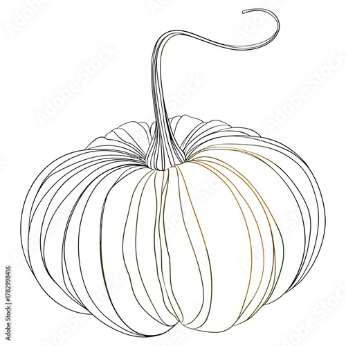 Harvest Autumn Pumpkin Outline