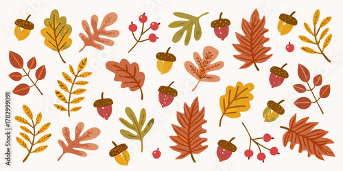 Collection of autumn leaves acorns and berries in warm earthy tones on a white background