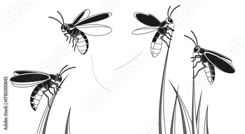 Flying wasp insects on grass stalks with transparent background