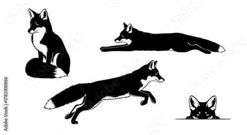 Fox poses outline style with transparent background