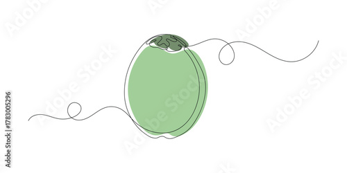Single continuous line drawing whole and sliced healthy organic coconut