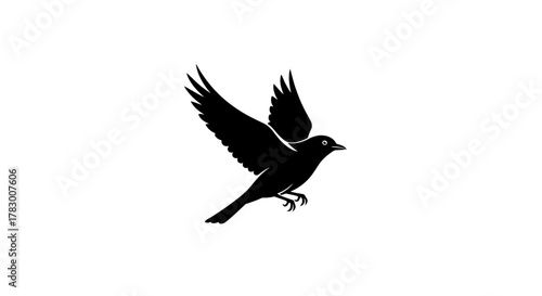 Dynamic silhouette of a bird taking flight, symbolizing freedom, aspiration, and new beginnings for modern design and branding.