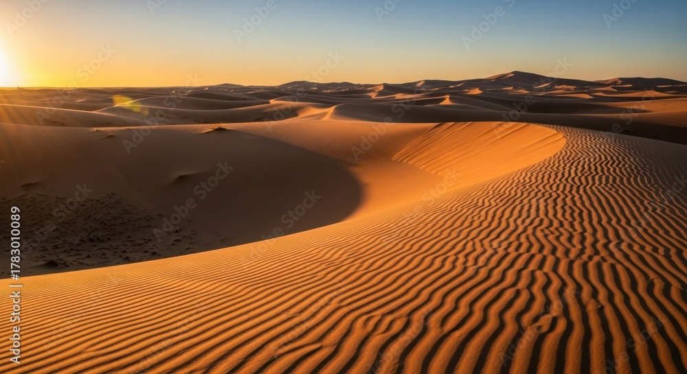 Naklejka premium Tranquil golden hour illuminates vast desert dunes with intricate wave patterns of sand