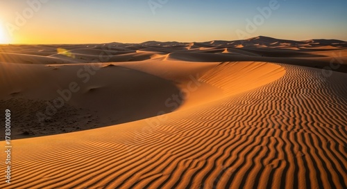 Fototapeta Naklejka Na Ścianę i Meble -  Tranquil golden hour illuminates vast desert dunes with intricate wave patterns of sand