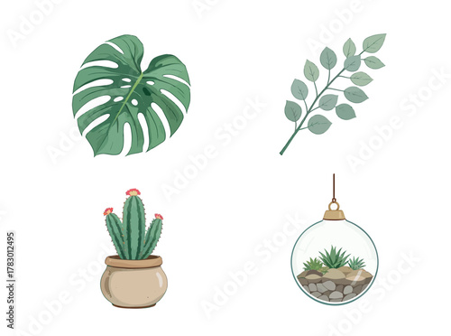 Variety of botanical illustrations featuring a monstera leaf, a green branch, a potted cactus, and a glass terrarium with succulents, perfect for natural decor