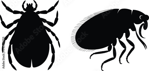 Tick and flea silhouette set, black vector parasitic insect icons for biology, pest control, veterinary, and medical illustration themes