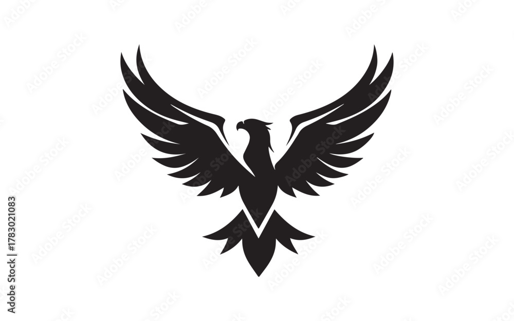 Fototapeta premium eagle in flight