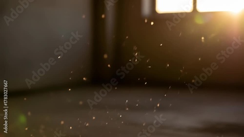 Dust particles suspended in the air, backlit by sun rays from window, indoors
