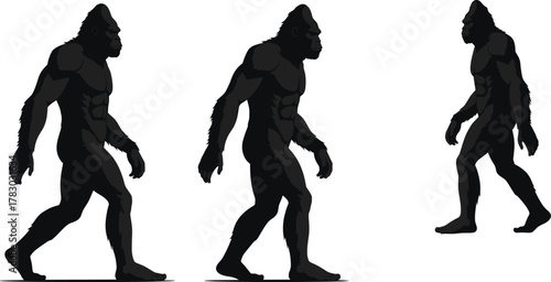Bigfoot silhouette vector, walking ape-like creature, evolution motion sequence, black muscular figure, primal beast design, side view illustration