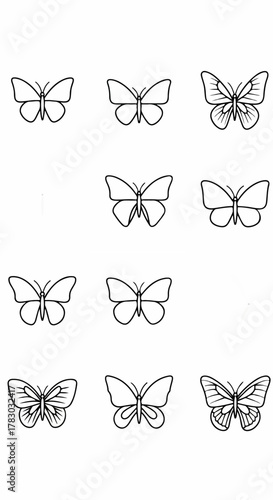 Butterfly illustrations collection isolated on white background