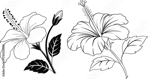 Ornamental hibiscus blossom with expressive petals and graceful leaf cluster in elegant outline style