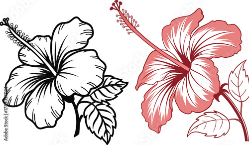 Two hibiscus blossoms artistic contour floral drawing clipart set black and coral red aesthetic plant design