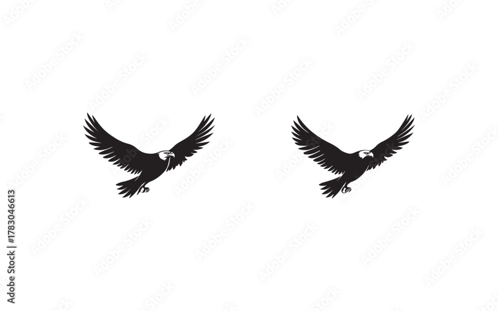 Fototapeta premium eagle vector illustration